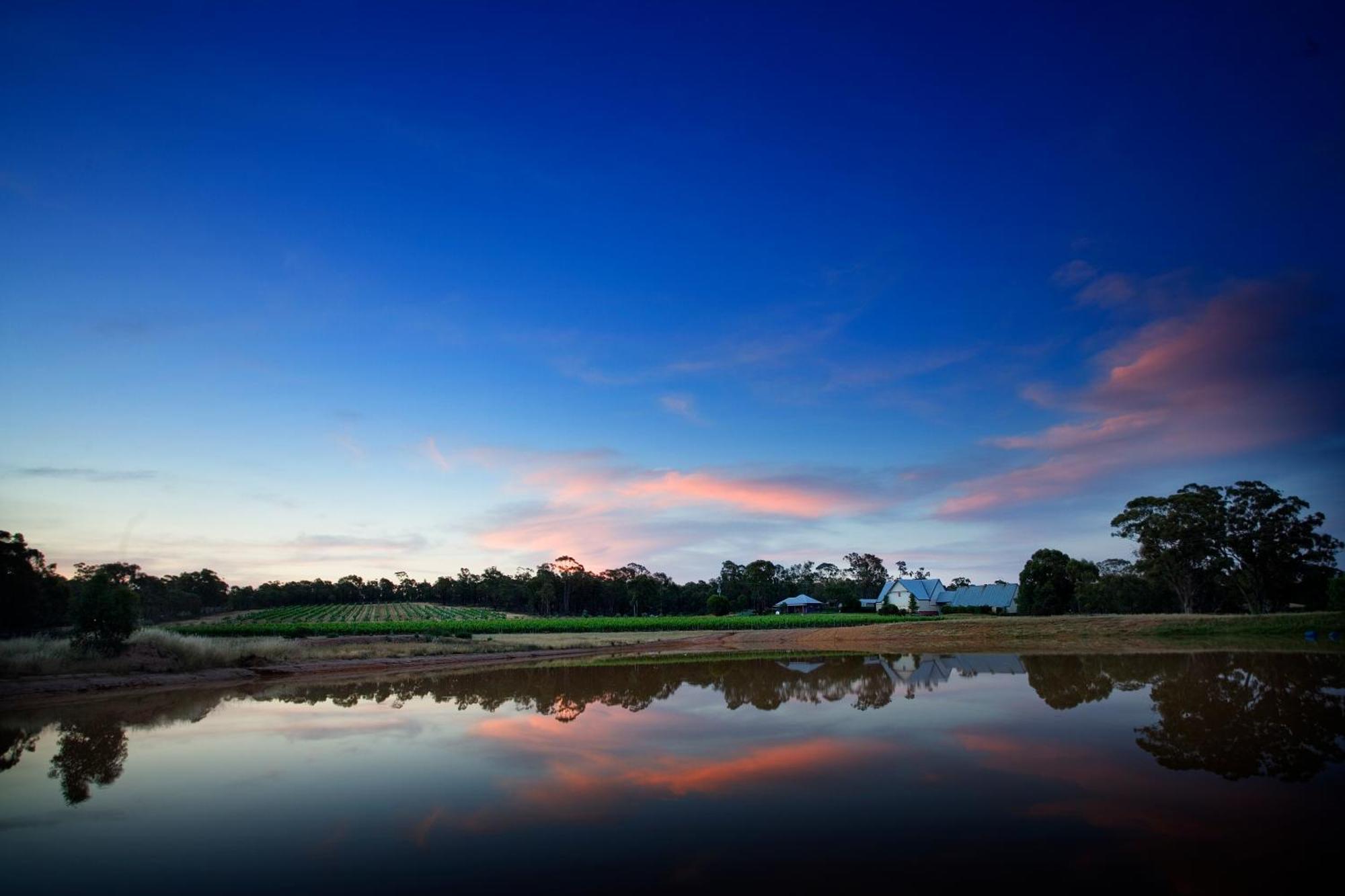 Balgownie Estate Bendigo Bed & Breakfast エクステリア 写真